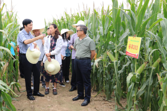 必发888(唯一)官方网站