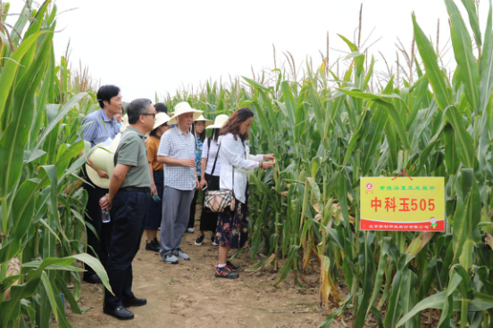 必发888(唯一)官方网站