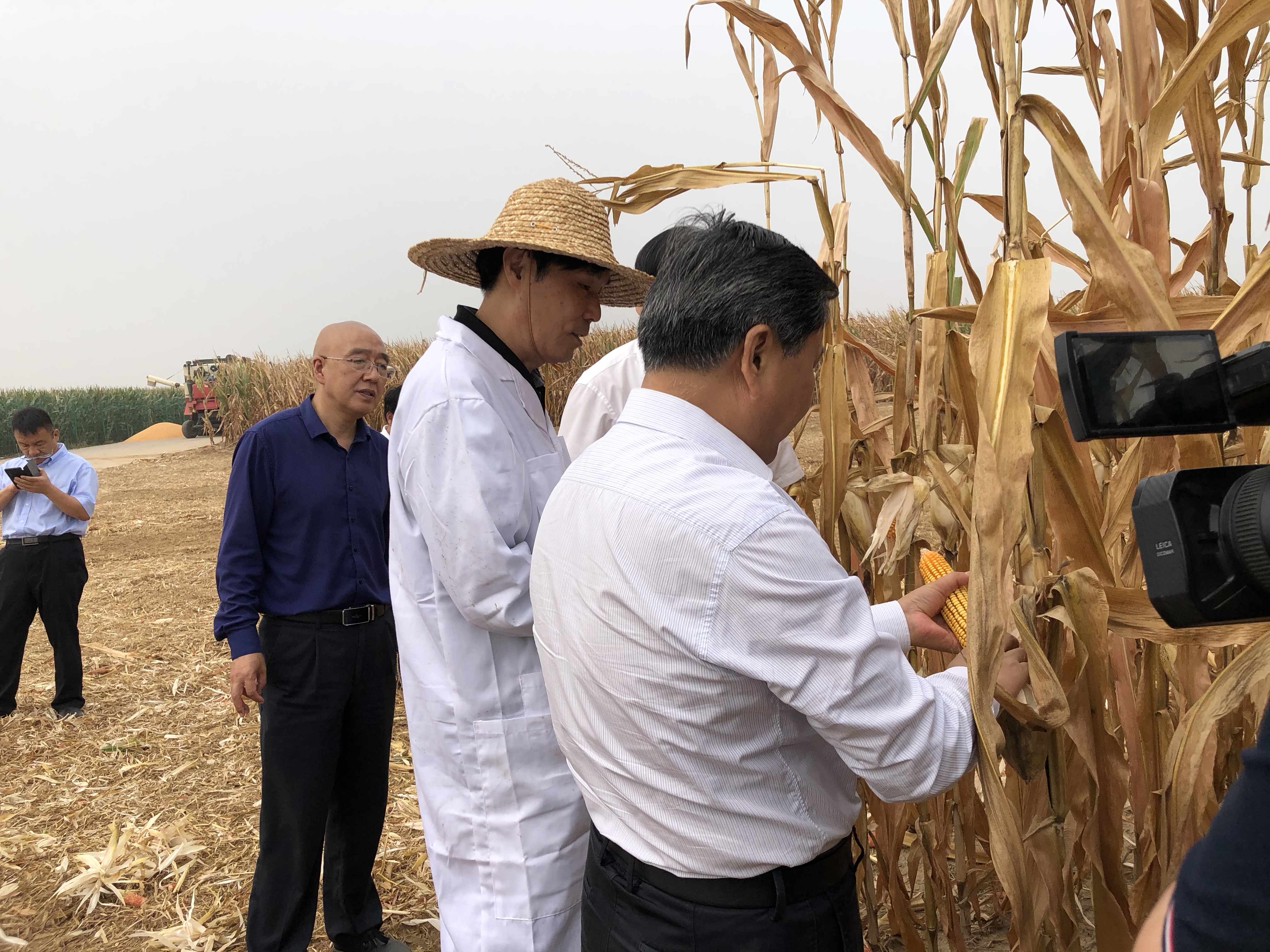 必发888(唯一)官方网站