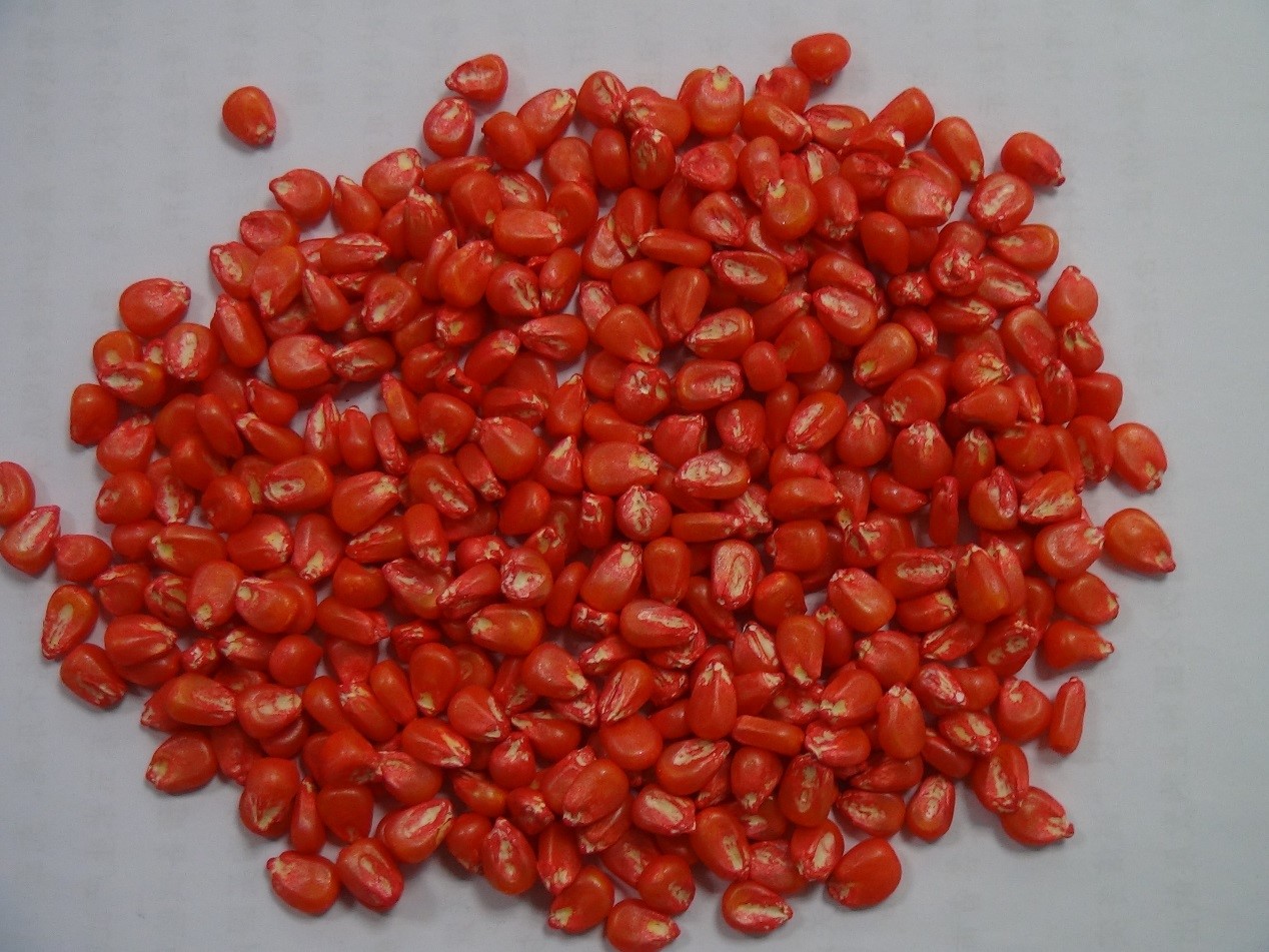 必发888(唯一)官方网站