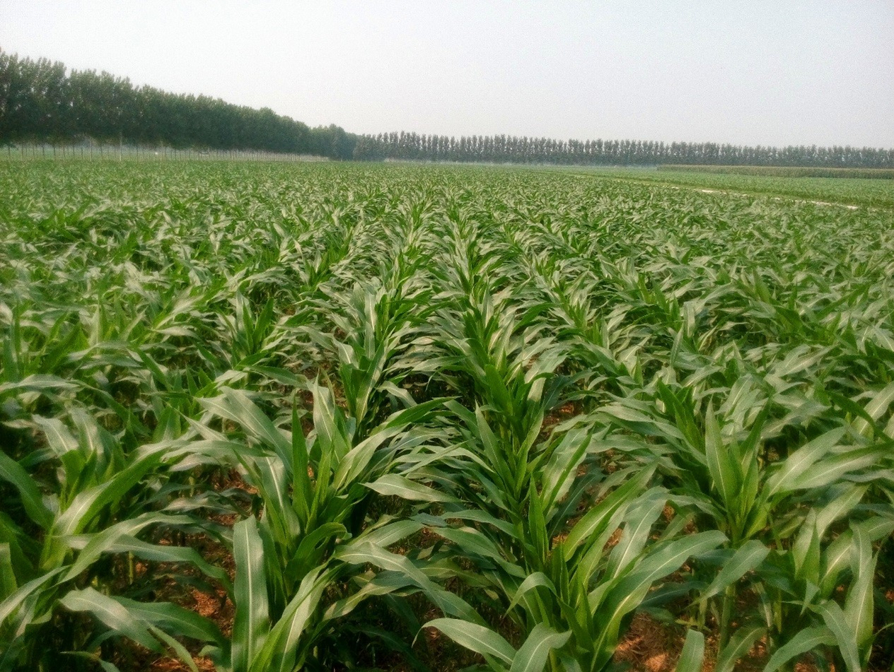 必发888(唯一)官方网站