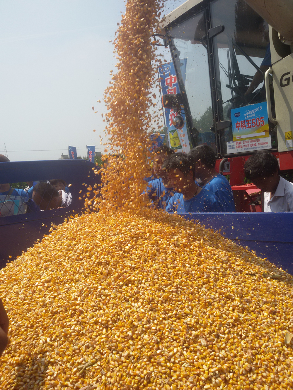 必发888(唯一)官方网站