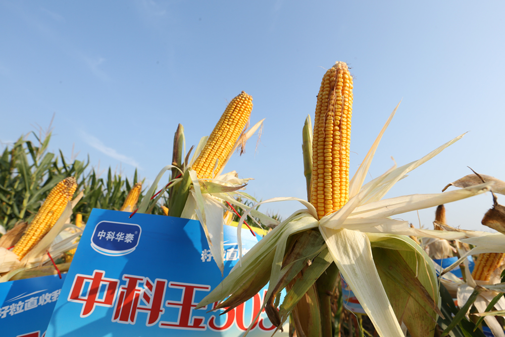 必发888(唯一)官方网站