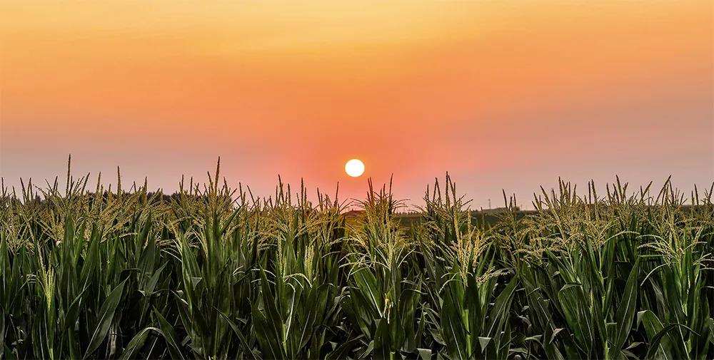 必发888(唯一)官方网站