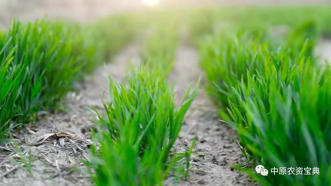 必发888(唯一)官方网站