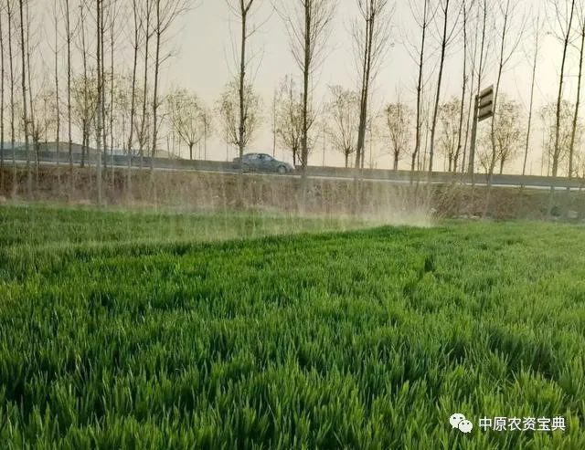 必发888(唯一)官方网站