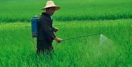 必发888(唯一)官方网站