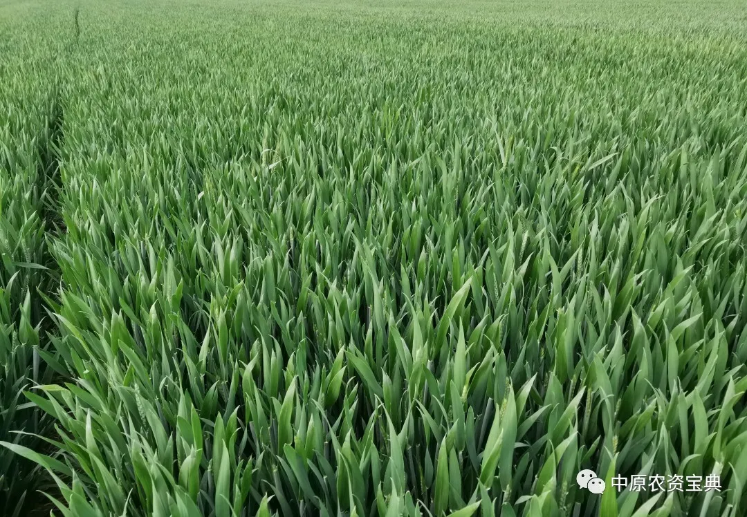 必发888(唯一)官方网站