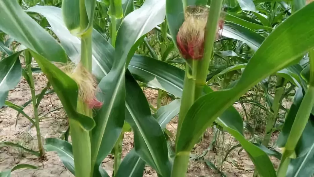 必发888(唯一)官方网站