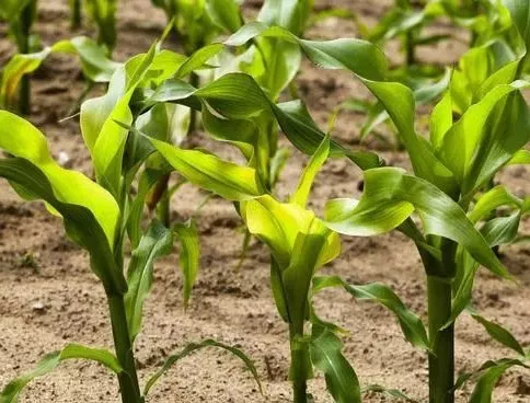 必发888(唯一)官方网站