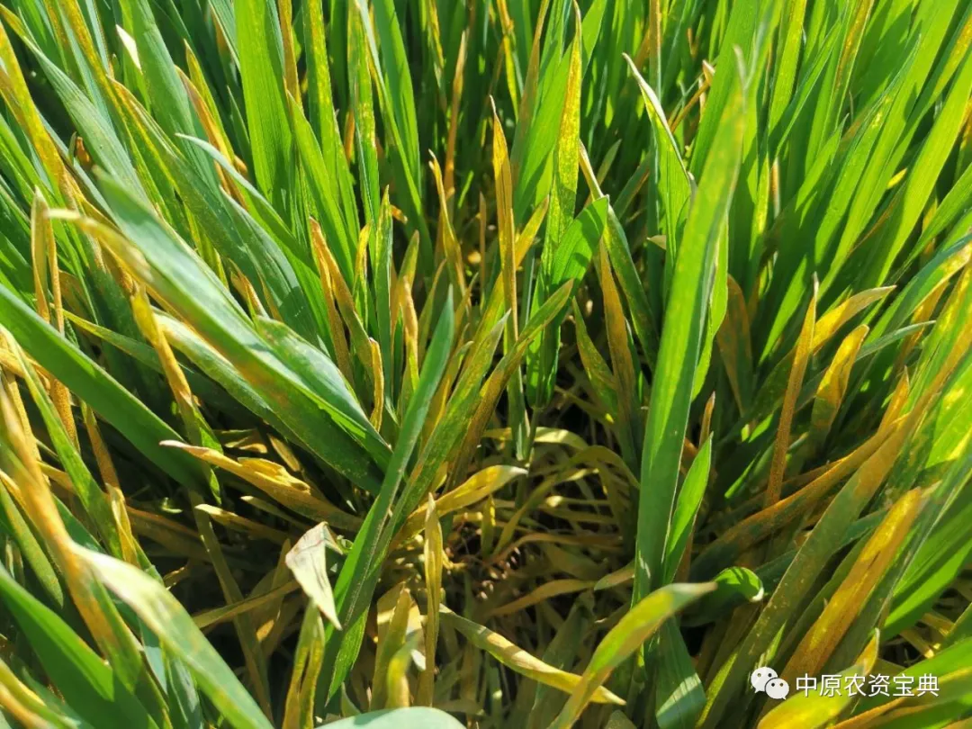 必发888(唯一)官方网站