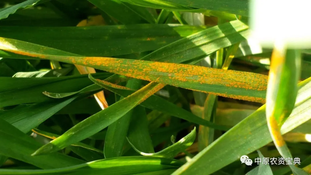 必发888(唯一)官方网站