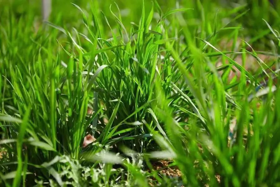 必发888(唯一)官方网站