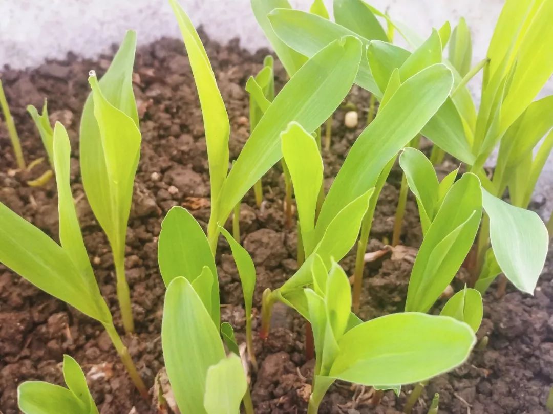 必发888(唯一)官方网站