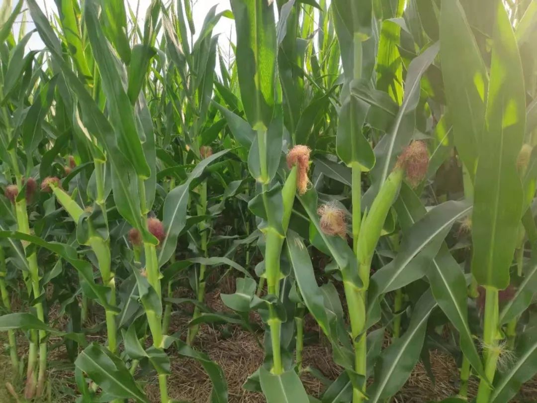 必发888(唯一)官方网站