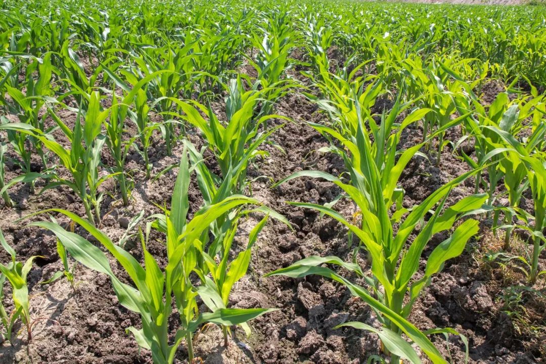 必发888(唯一)官方网站