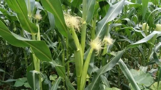 必发888(唯一)官方网站