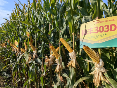 必发888(唯一)官方网站