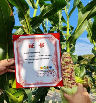 必发888(唯一)官方网站