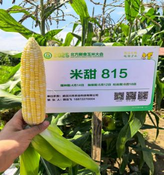 必发888(唯一)官方网站